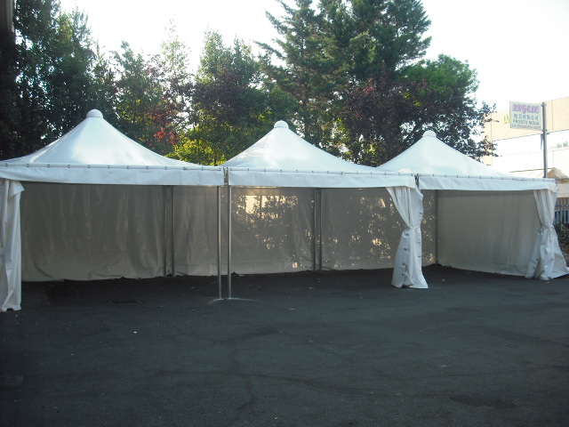 3 gazebo 5x5 uniti
