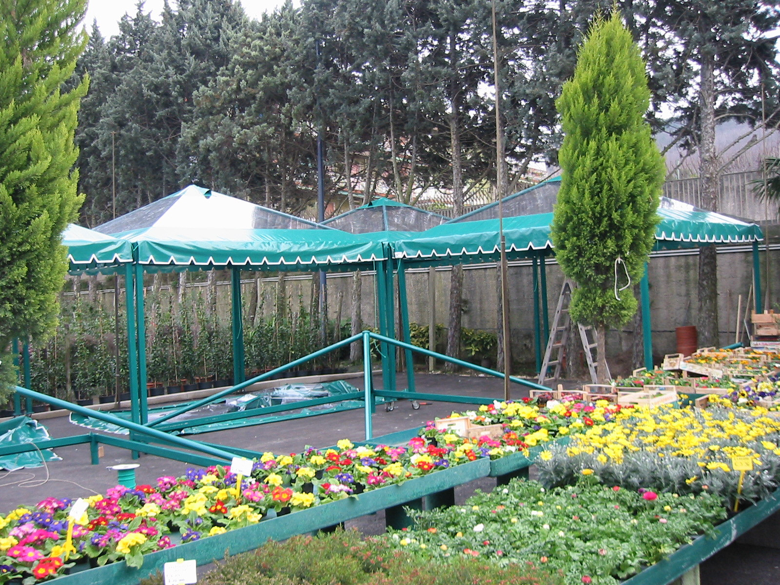 Gazebo crystal